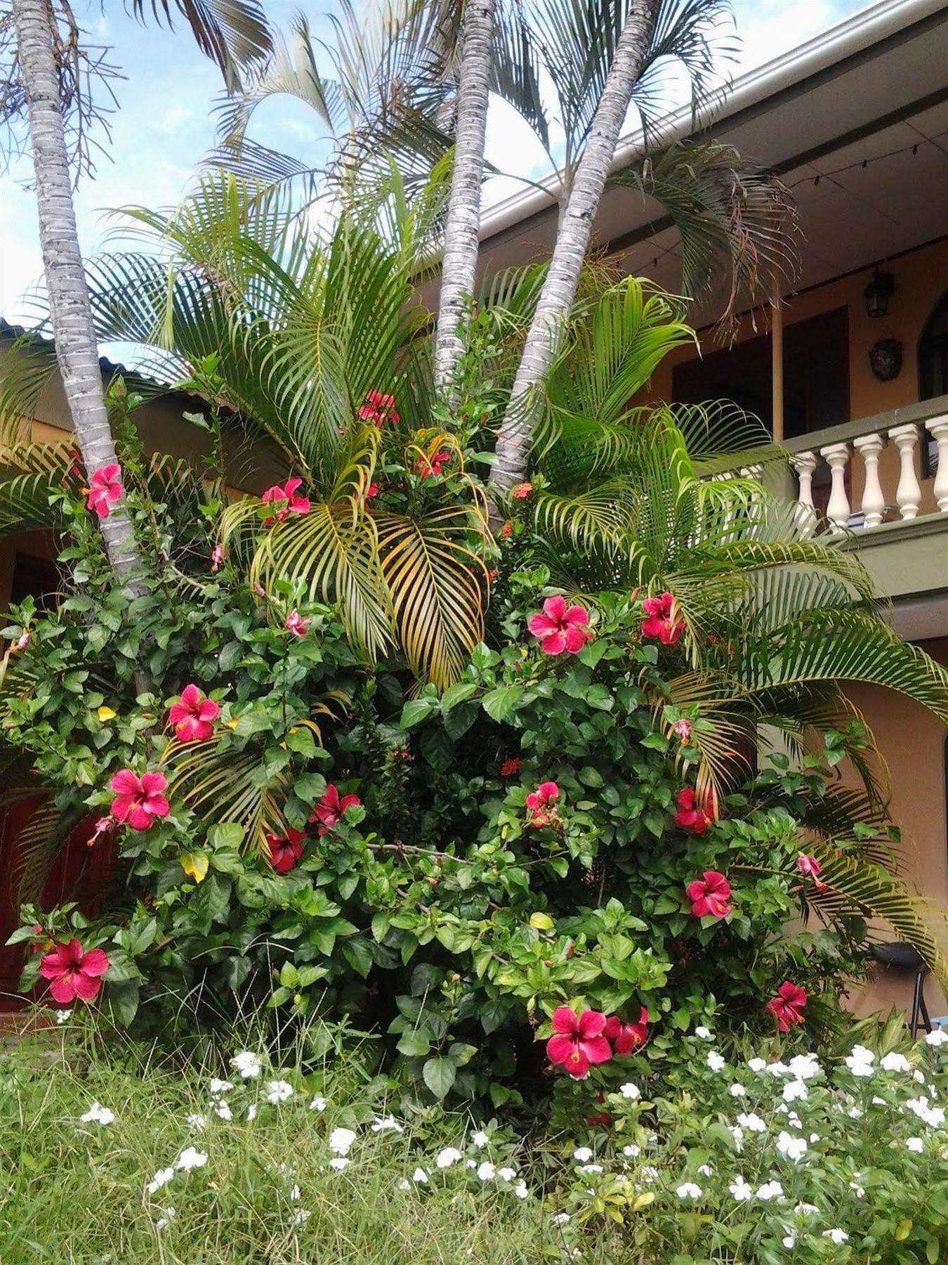 Cabinas Madeleine Puntarenas Luaran gambar